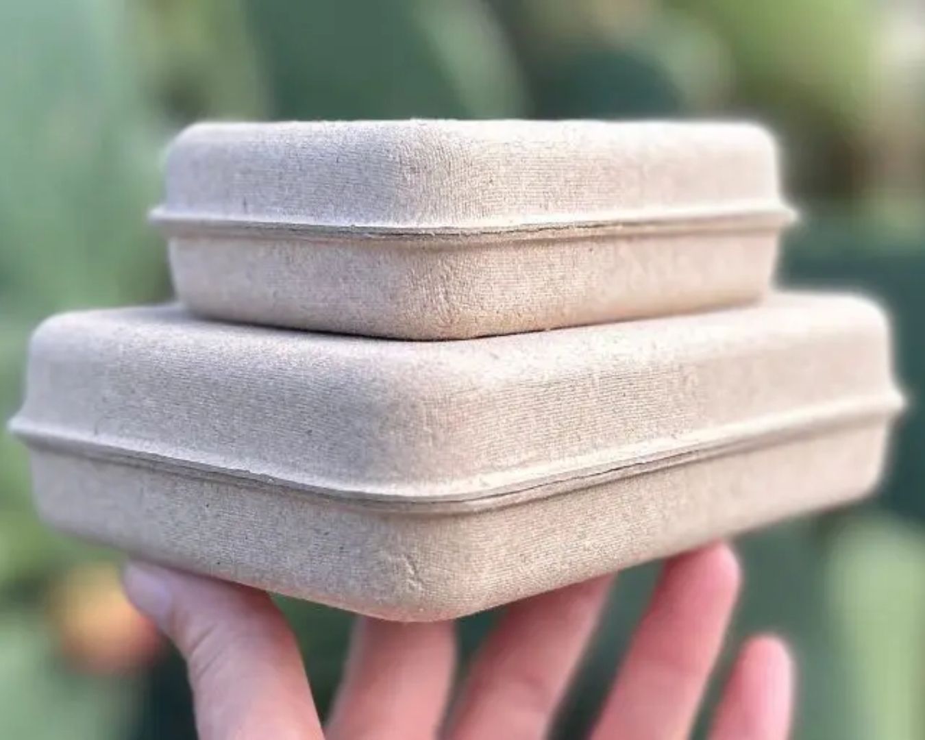 Creative and sustainable molded pulp packaging for retail and consumer brands